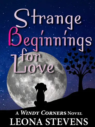 Strange Beginnings for Love Cover